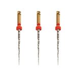 Protaper Next X1  21mm Con 3